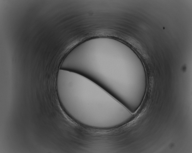X0000097950841200804011632