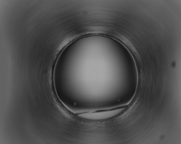 X0000097950842200804011632