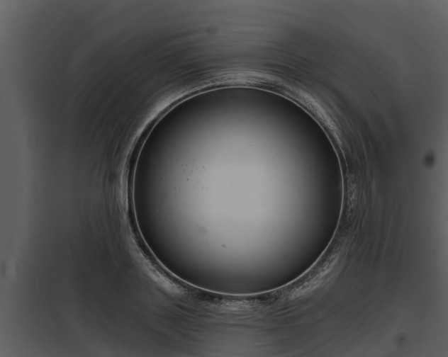 X0000097950843200804011632