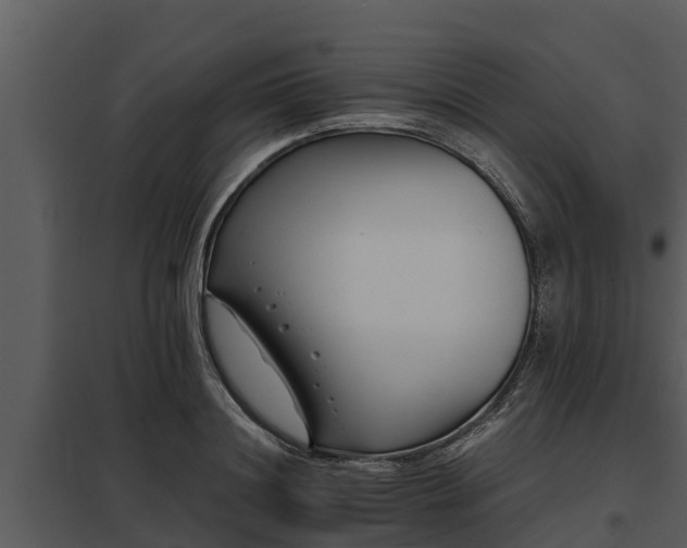 X0000097950844200804011632