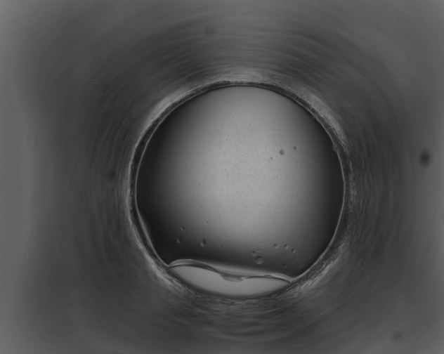 X0000097950845200804011633