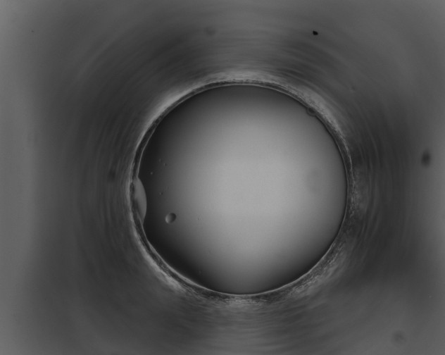 X0000097950847200804011633