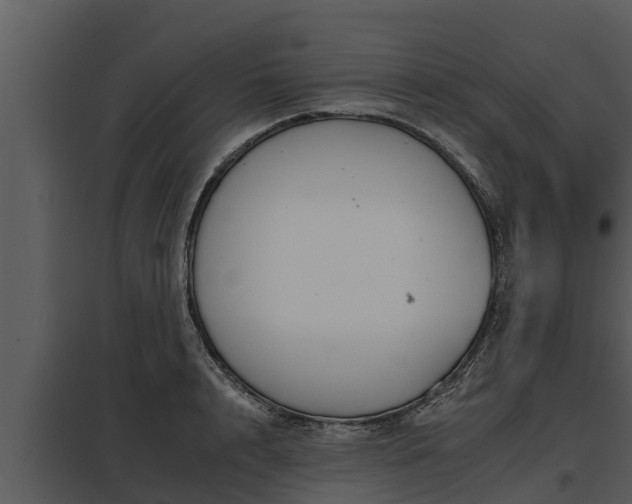 X0000097950848200804011633