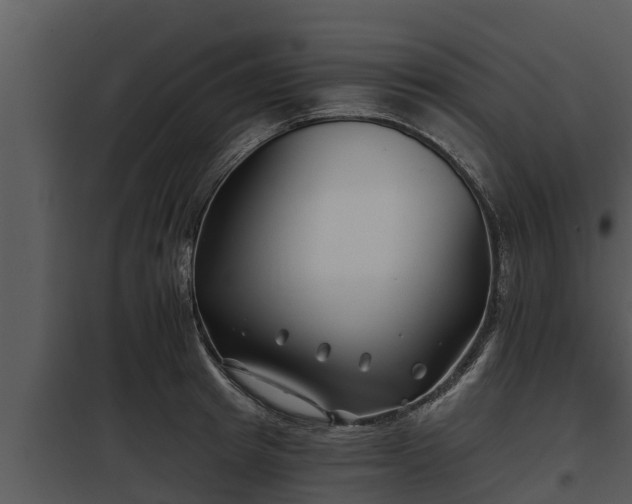 X0000097950849200804011633