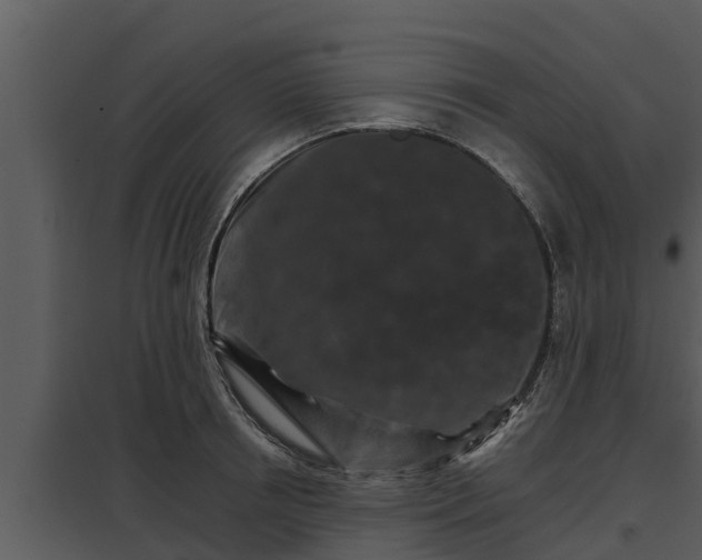 X0000097950850200804011633