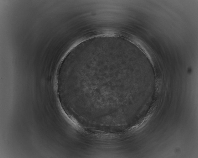 X0000097950851200804011633