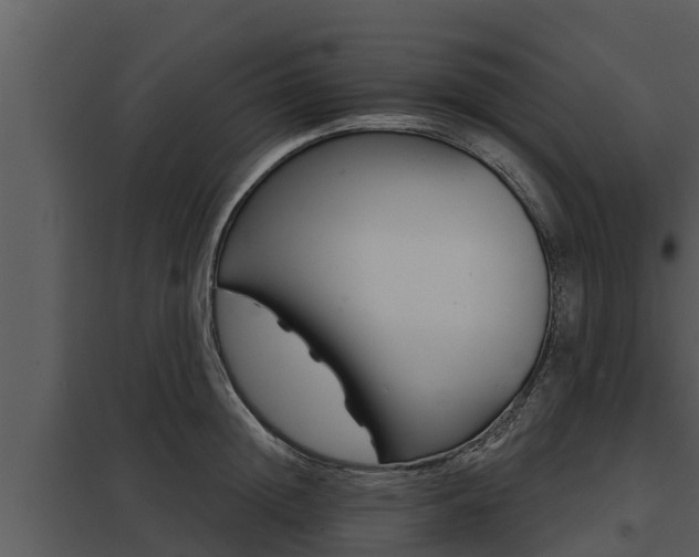 X0000097950852200804011633