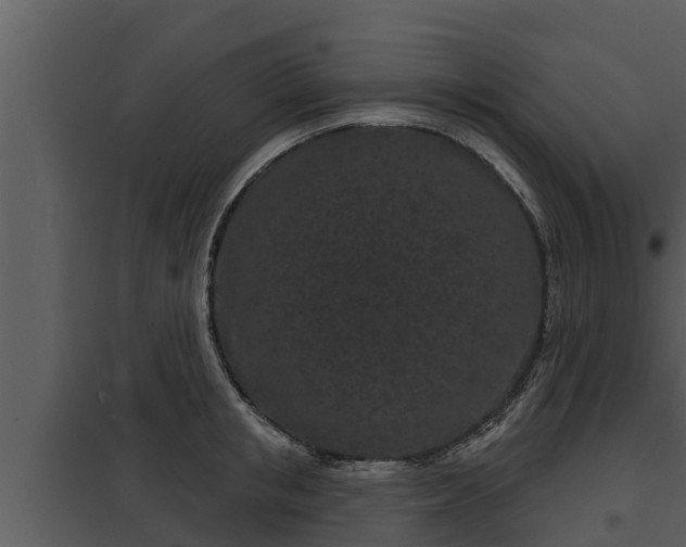 X0000097950853200804011633