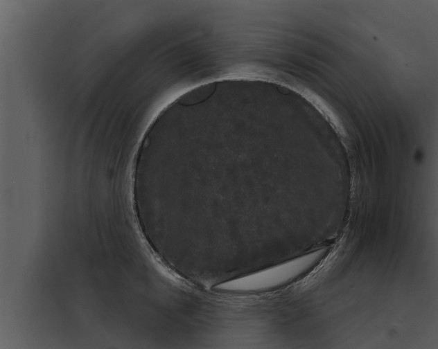 X0000097950854200804011633
