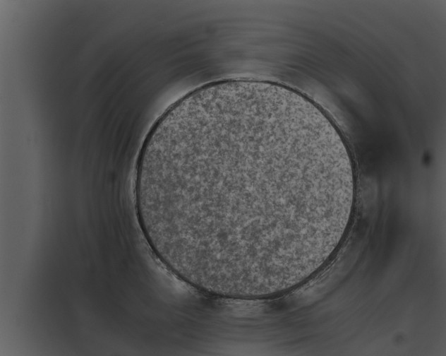 X0000097950856200804011633
