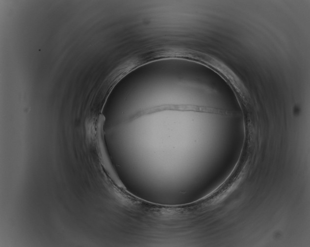 X0000097950857200804011633