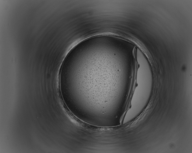 X0000097950858200804011633