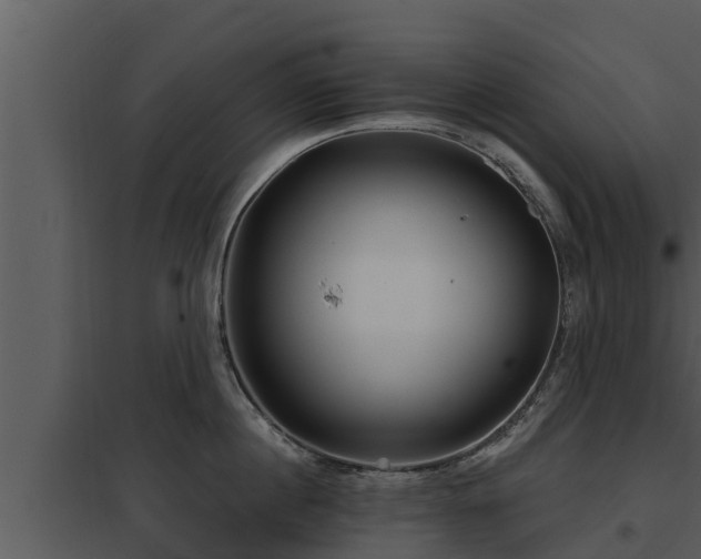 X0000097950860200804011633