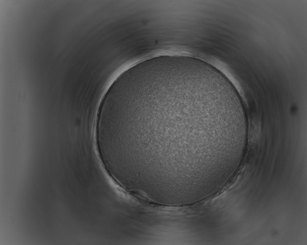 X0000097950861200804011633