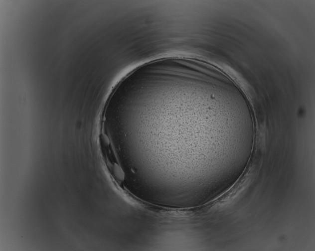 X0000097950862200804011633