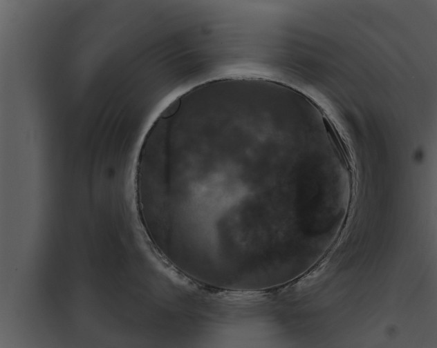 X0000097950864200804011633