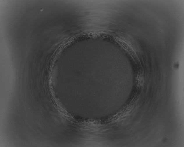 X0000097950865200804011632