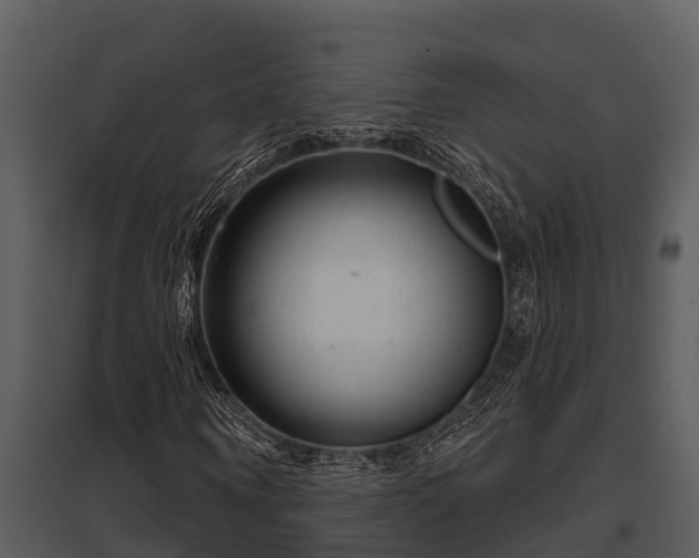 X0000097950866200804011632