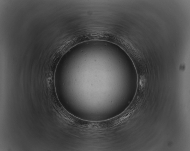 X0000097950867200804011632