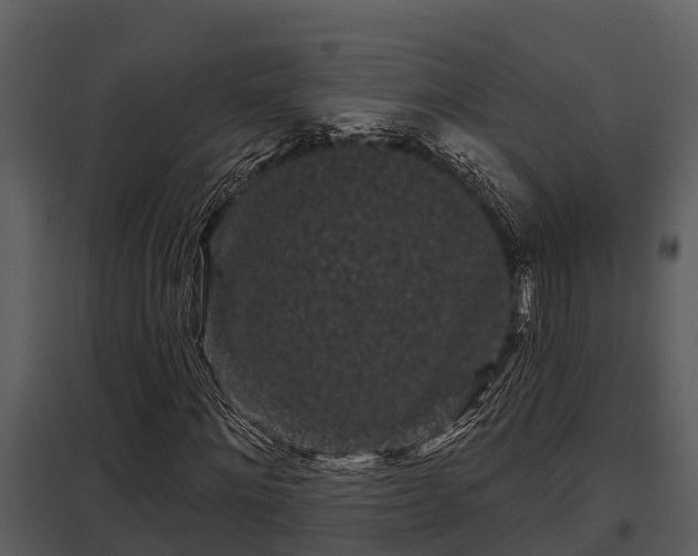X0000097950868200804011632