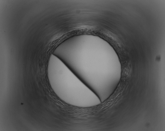 X0000097950869200804011632