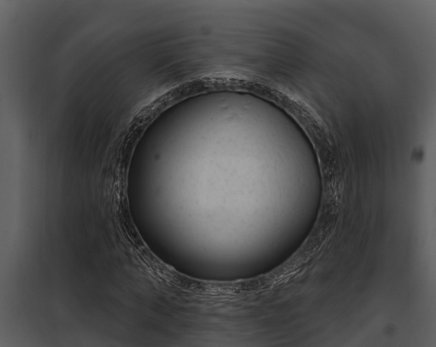 X0000097950870200804011632