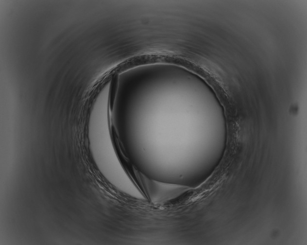 X0000097950872200804011632