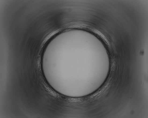 X0000097950874200804011632