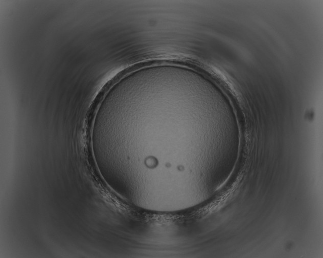 X0000097950875200804011632