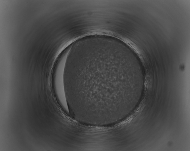 X0000097950877200804011632