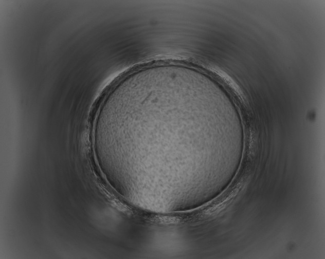 X0000097950878200804011632
