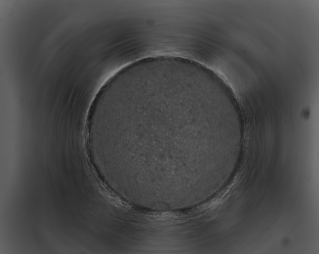 X0000097950879200804011632