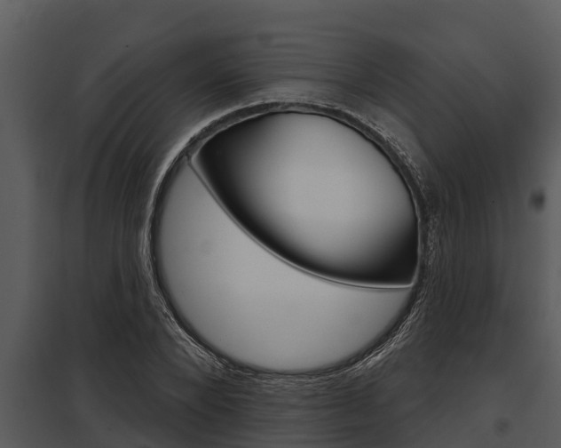 X0000097950880200804011632