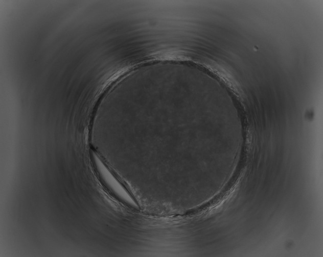X0000097950881200804011632