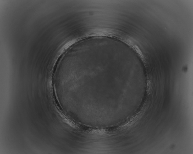 X0000097950882200804011632