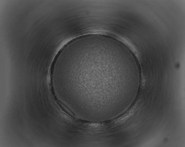 X0000097950883200804011632