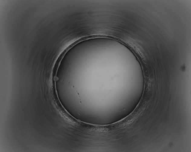 X0000097950884200804011632