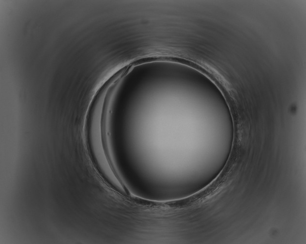 X0000097950885200804011632