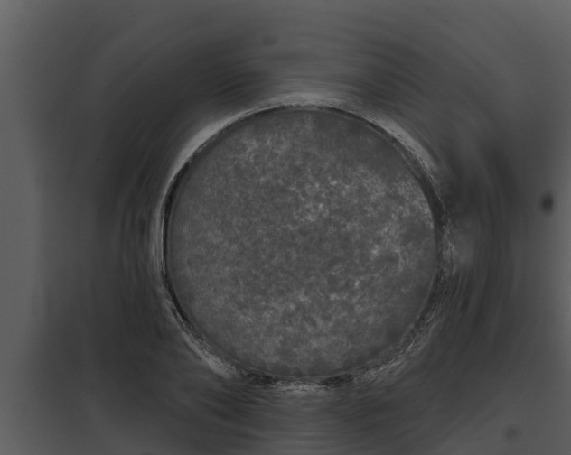 X0000097950886200804011632