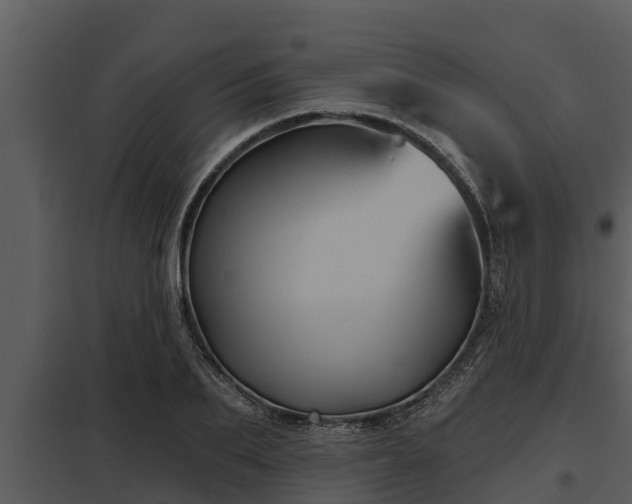 X0000097950887200804011632