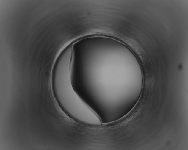X0000097950888200804011632