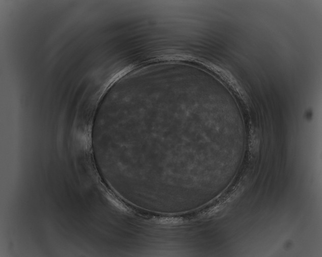 X0000097950889200804011632