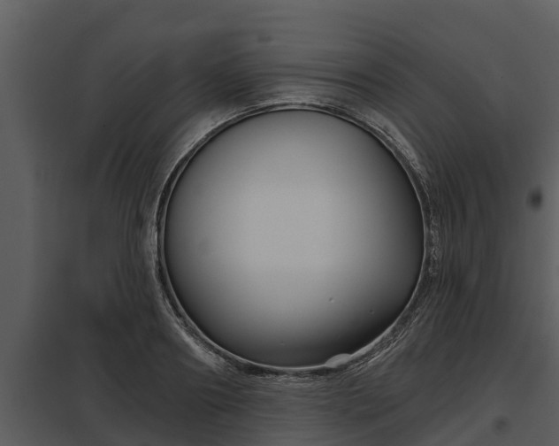 X0000097950890200804011632