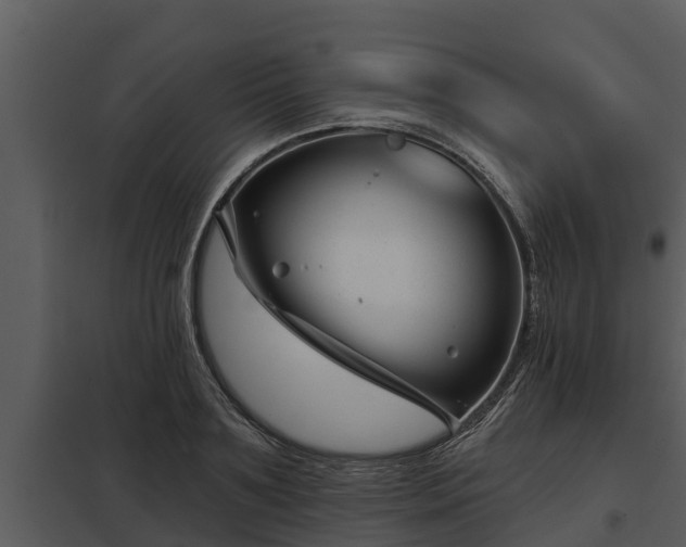 X0000097950891200804011632