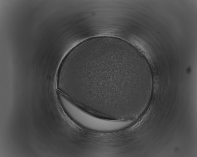 X0000097950892200804011632