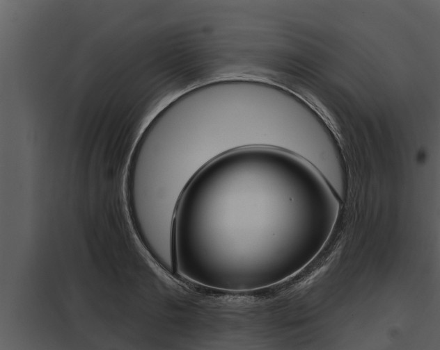 X0000097950893200804011632