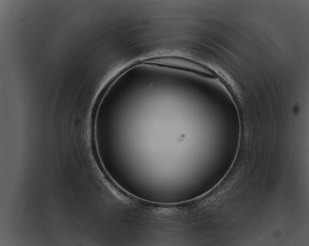 X0000097950894200804011632