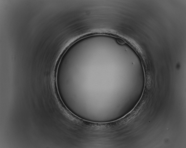 X0000097950895200804011632