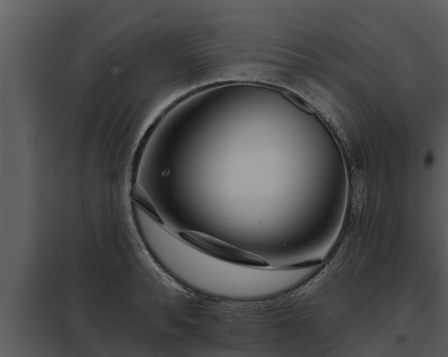 X0000097950896200804011632