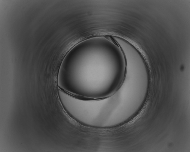 X0000097950897200804011632